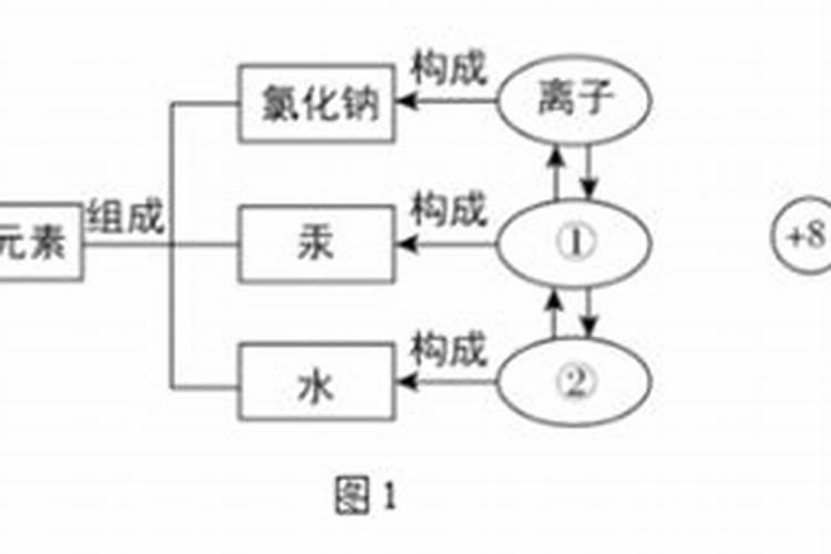 聚合物的种类有哪些？