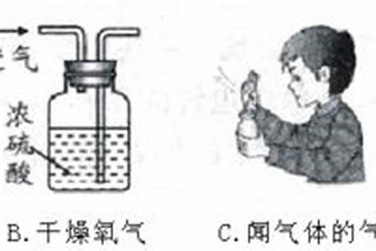 生姜怎么种植？