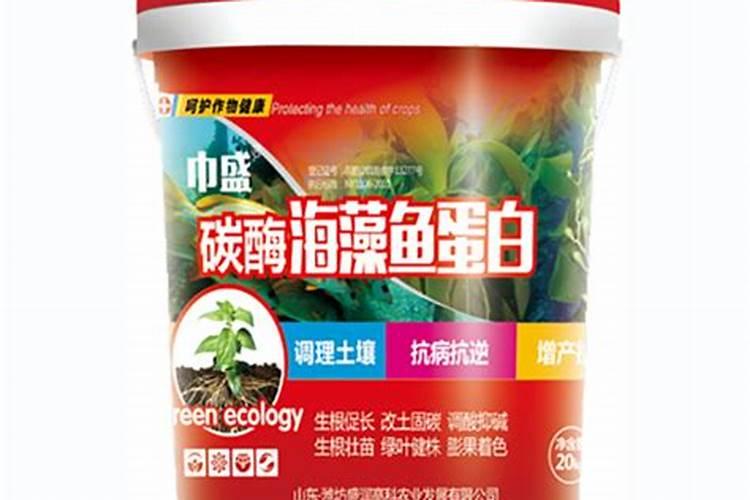 碳酶海藻鱼蛋白什么时候使用最好