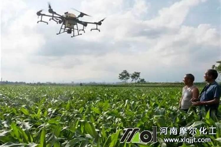 玉米苗打叶面肥大雨前打好还是雨后打好？