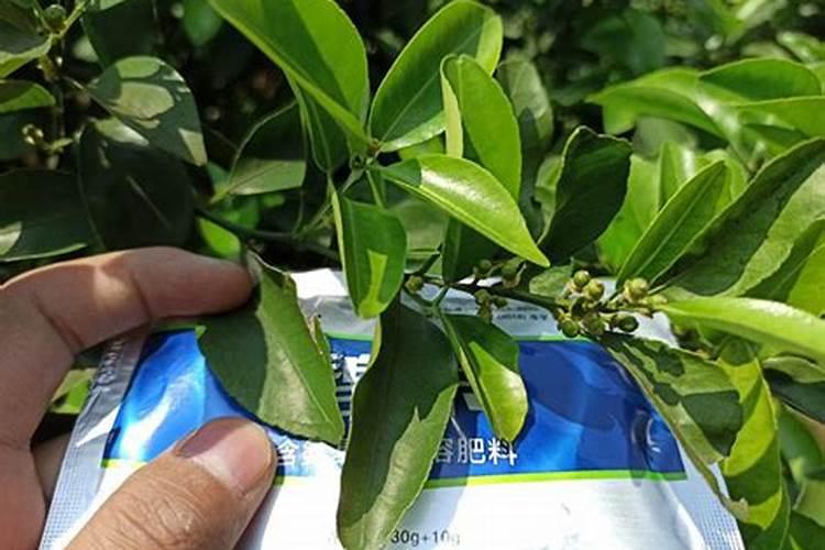 世界上十大名牌肥料排名