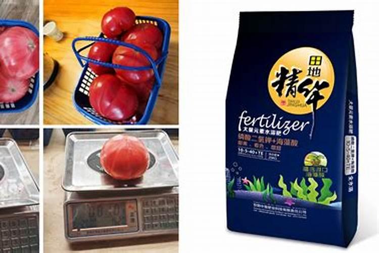 种瓜用什么肥料好