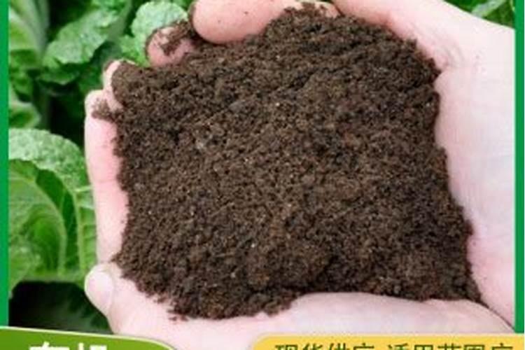 蚯蚓肥要沤多久 蚯蚓肥怎么沤？