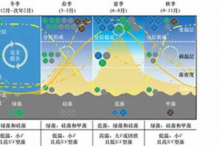 养鱼的水哪种颜色表示水质最好？