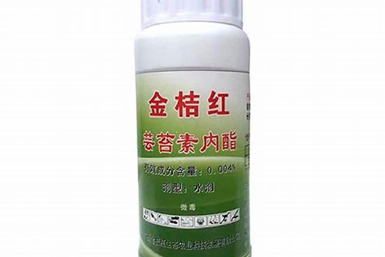 桔子开花打什么药保果