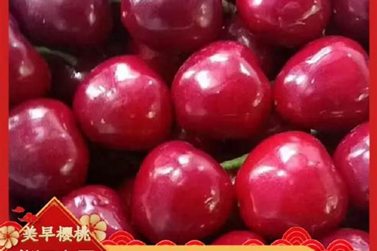 种樱桃树用什么肥料？