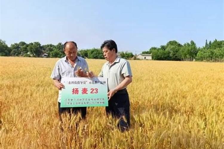 抢农资网:农资经销商,种植大户的生意真的那么难做吗？