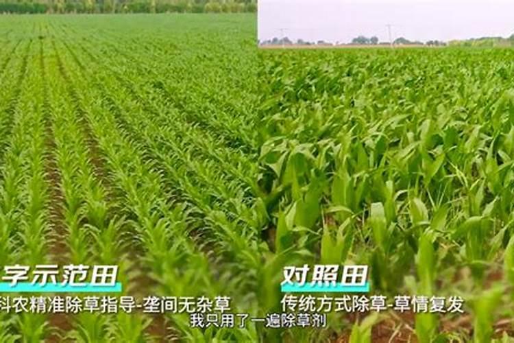 在农村集市上卖化肥,到底有多大利润呢？