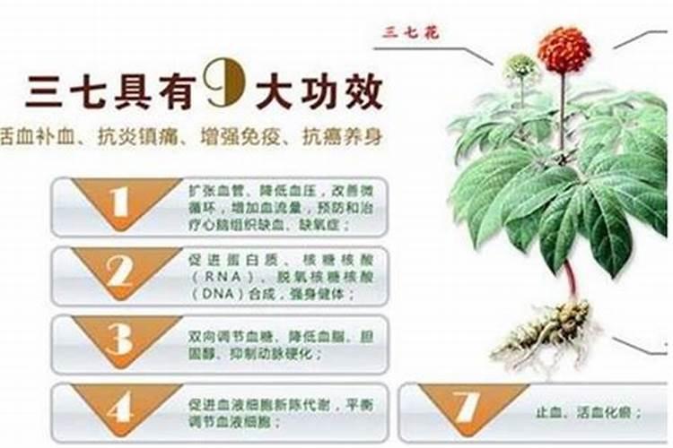 三七作物能用硅钾叶面肥吗