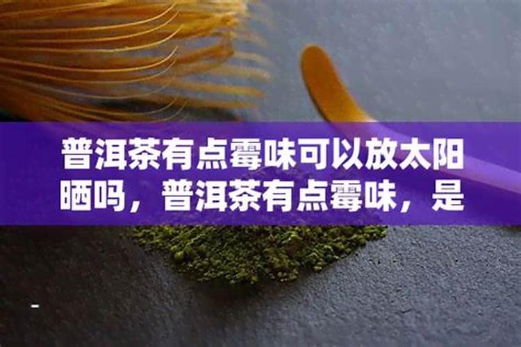 长了毛的剩茶叶能养兰花吗