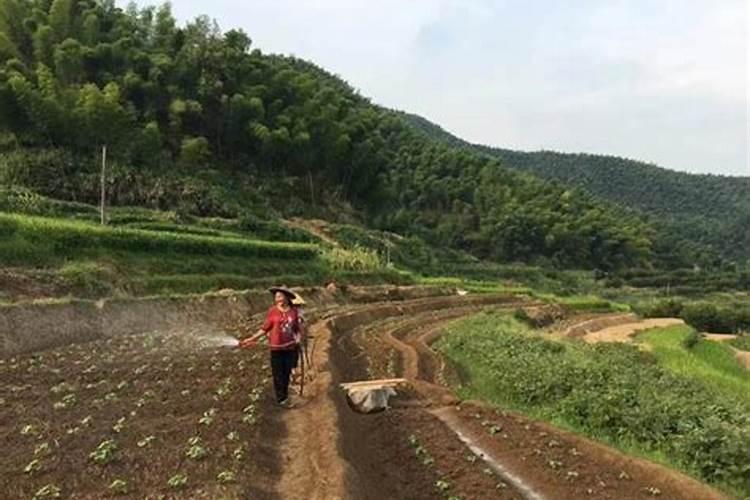 鱼和葡萄一起吃了会中毒吗,有什么不好