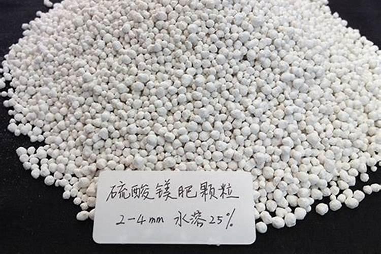 复合肥标识上面加2Mgo是什么意思