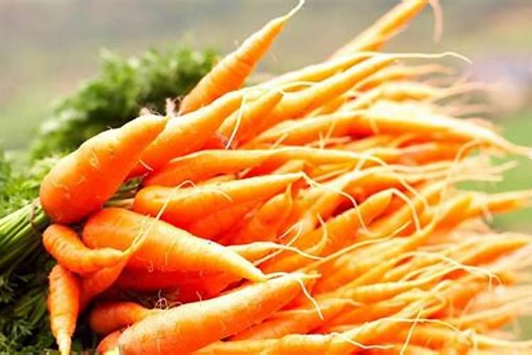 胡萝卜高产需要啥肥料