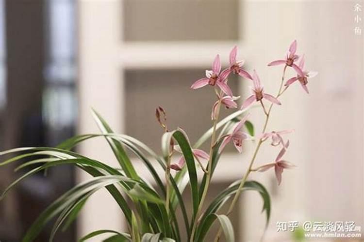 为什么控释肥那么贵？