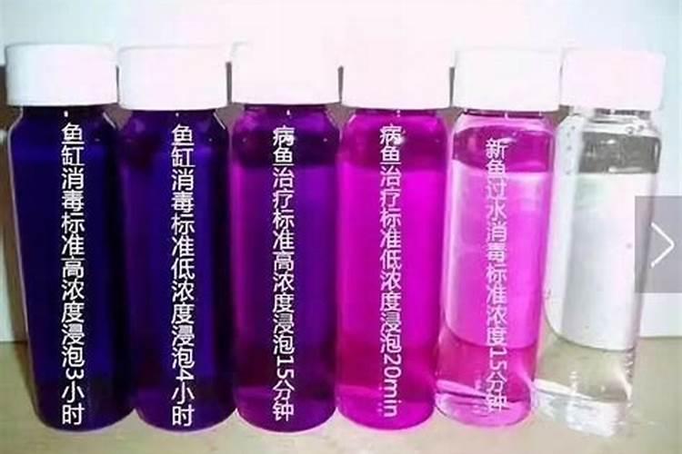 土培红掌怎么养？
