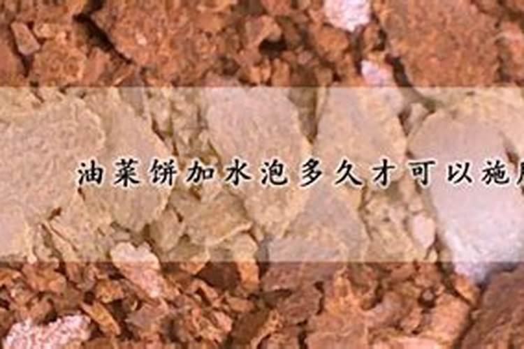 饼肥的使用方法及操作步骤介绍