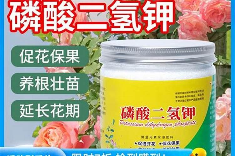 养花叶面肥的制作方法如何制作花肥 花肥的制作方法
