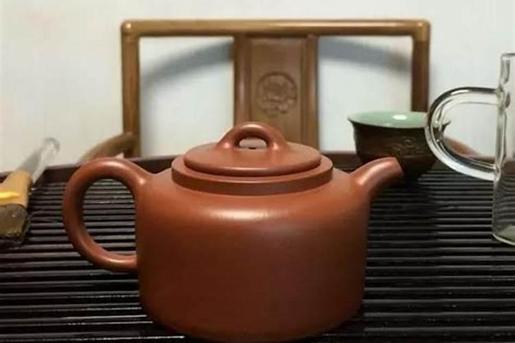 茶壶枣种植技巧
