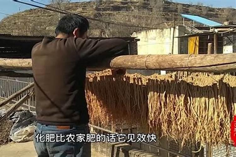 湖南十大花卉批发市场 湖南花卉市场在哪里 湖南花卉批发市场有哪些百 ...