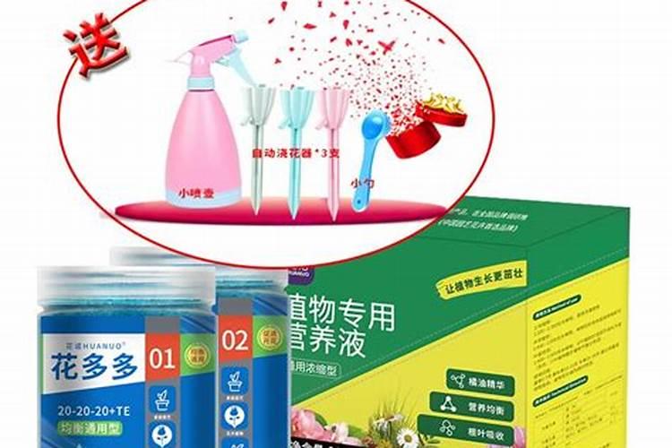 橘子发霉在家里怎么处理