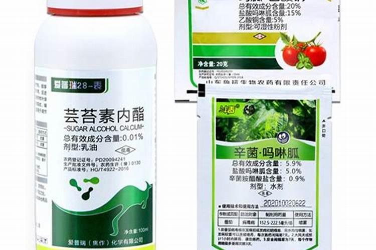 磷肥用于哪些花