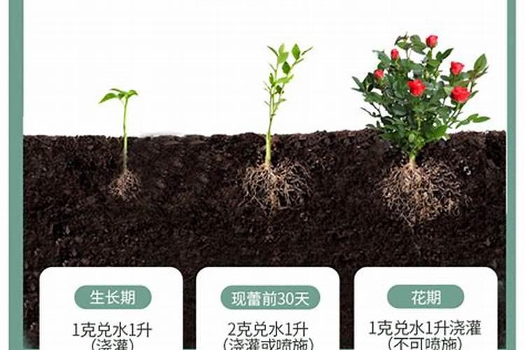 花施氮磷钾肥使用方法
