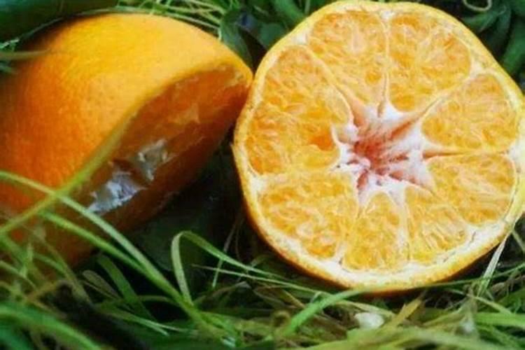 种植沙糖桔南丰蜜桔马水桔和金桔用什么叶面肥好？