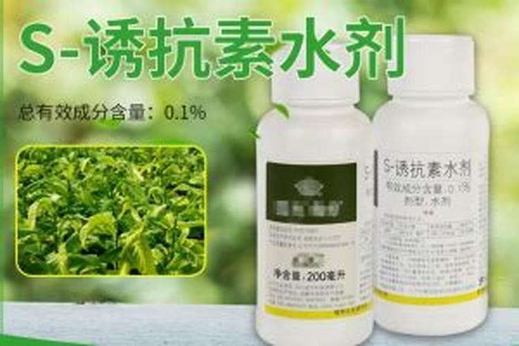 如何正确使用磷酸二氢钾