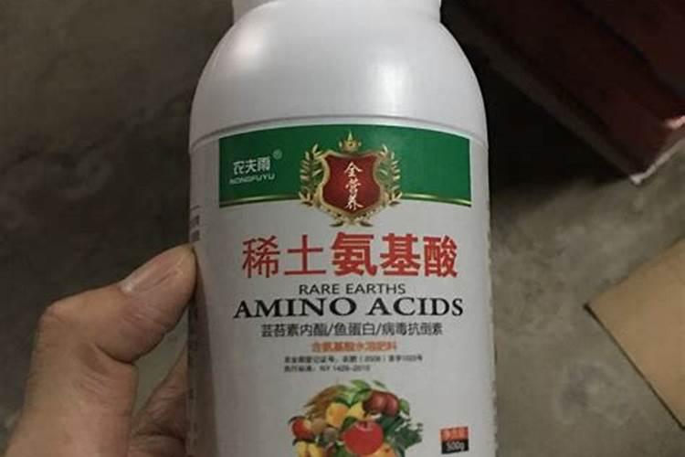 怎样给月季花施肥？