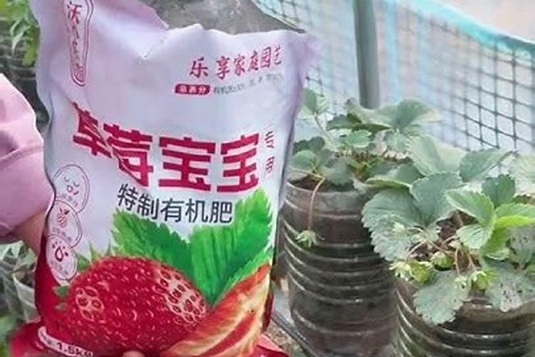 甲哌鎓98%能在草莓花期用吗？