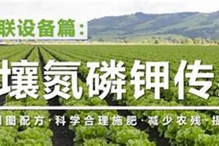 氮肥对农作物的影响