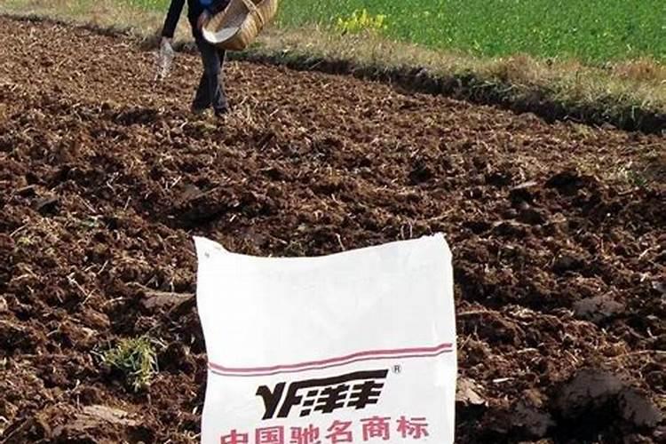怎么鉴别进口水溶肥的真假