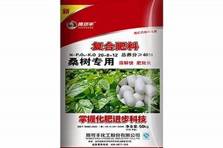 桑园怎样间作其他经济作物？