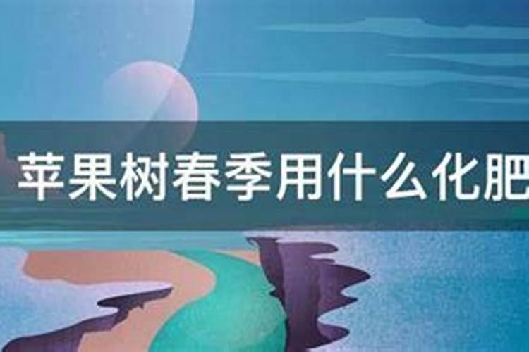 苹果树春季施什么肥料