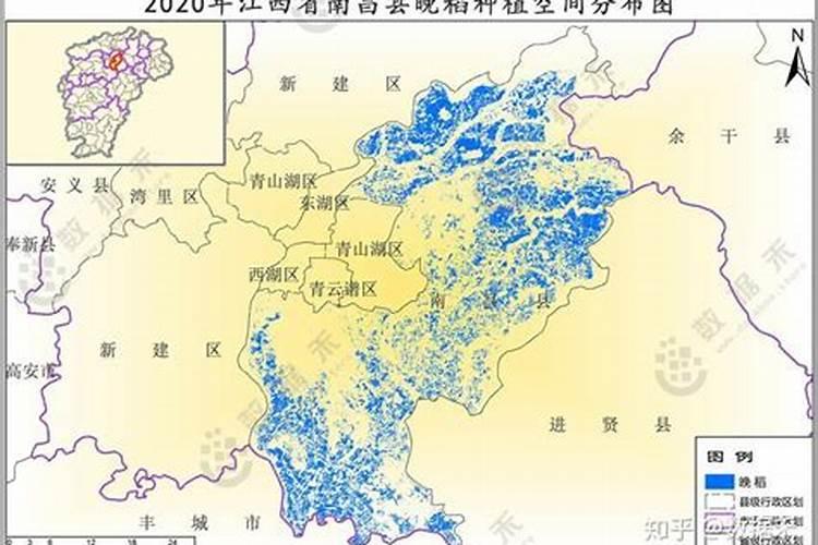水稻分蘖期喷什么叶面肥好