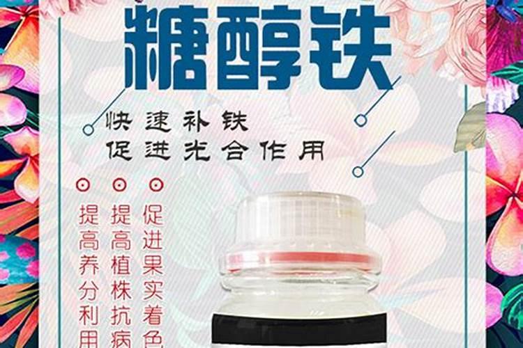 栀子花叶子发干怎么办？