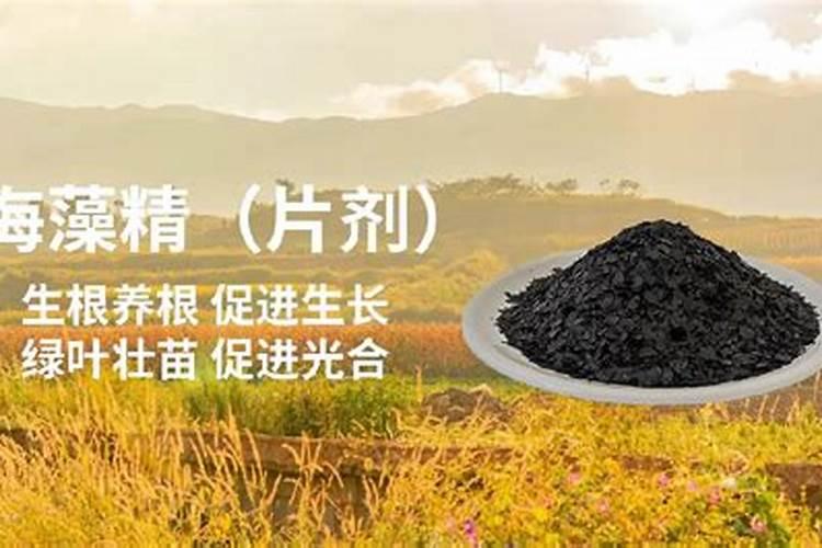 海藻冲施肥用量