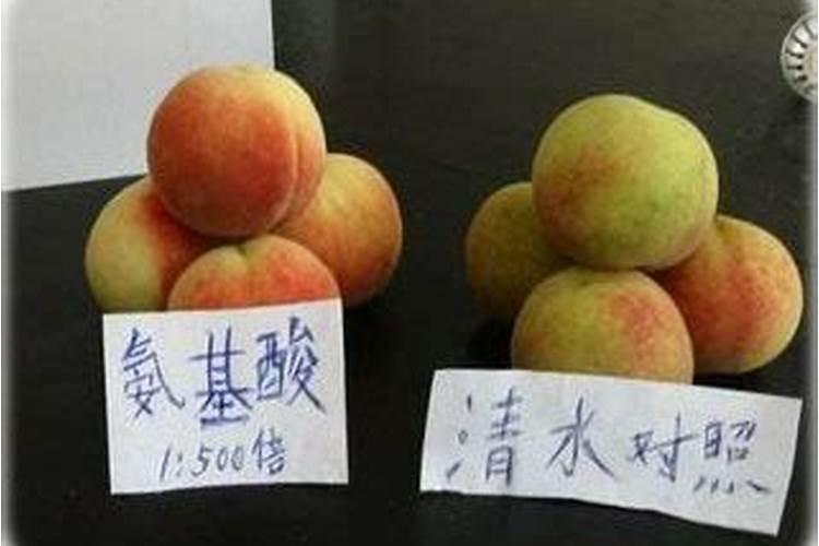 醋当叶面肥的效果怎么样