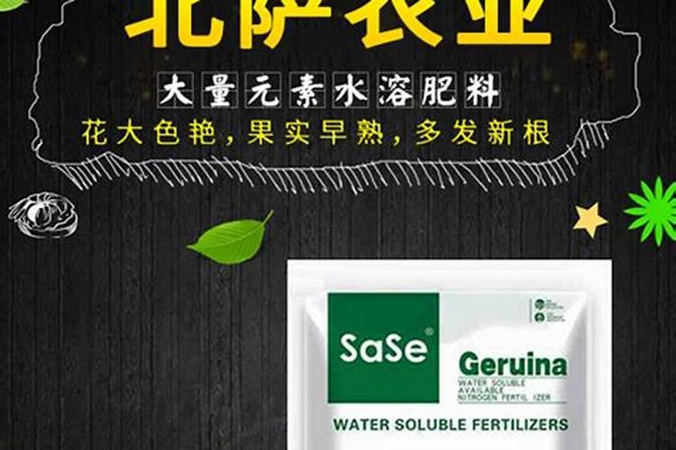生菜几月份播种最适合(怎样种植生菜方法步骤介绍)