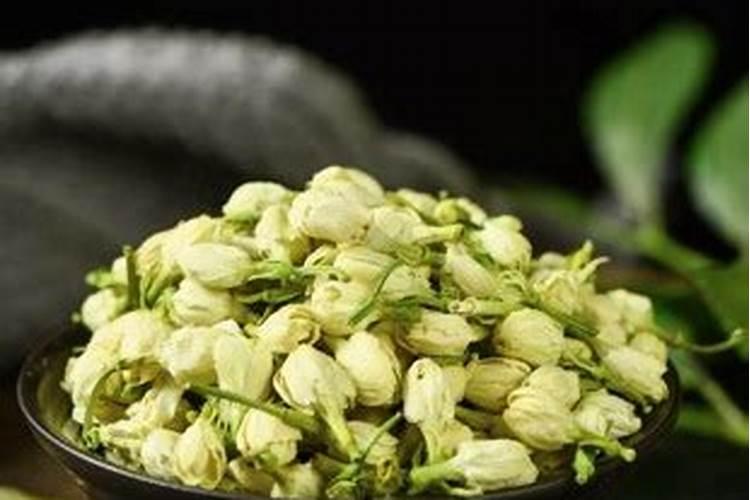 骨粉适合什么花当肥料、骨粉肥的注意事项