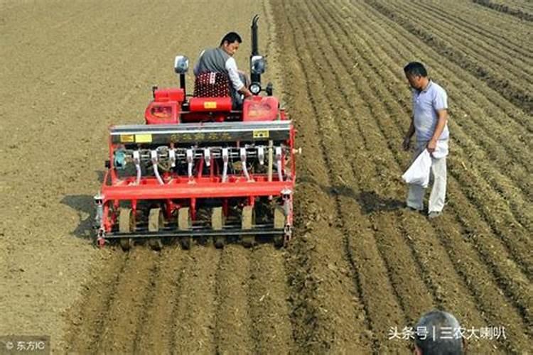 种小麦一亩地要上多少硫酸铵多少钾肥多少尿素做底肥