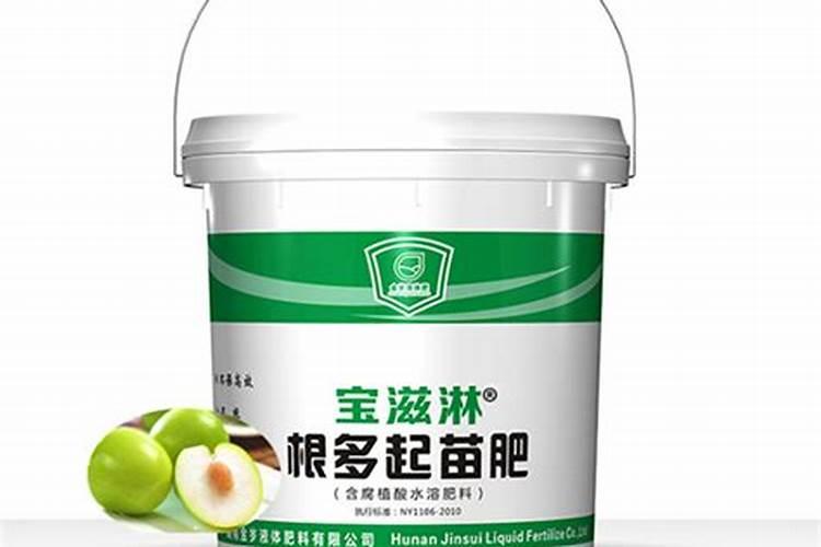 台湾青枣施什么肥好