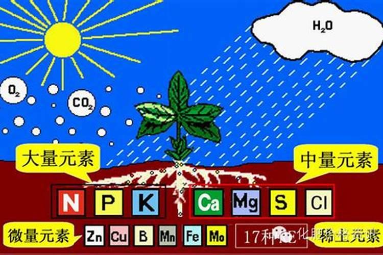 最全的肥料基础知识问答,目前农民存在哪些施肥