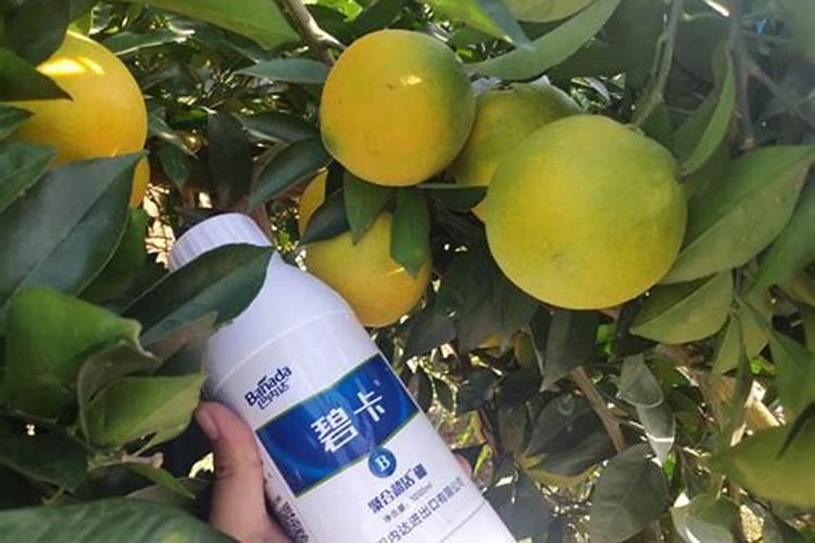 苯甲嘧菌酯和精喹禾灵还有乙羧氟草醚这几样药放在一起给绿豆打能行吗...