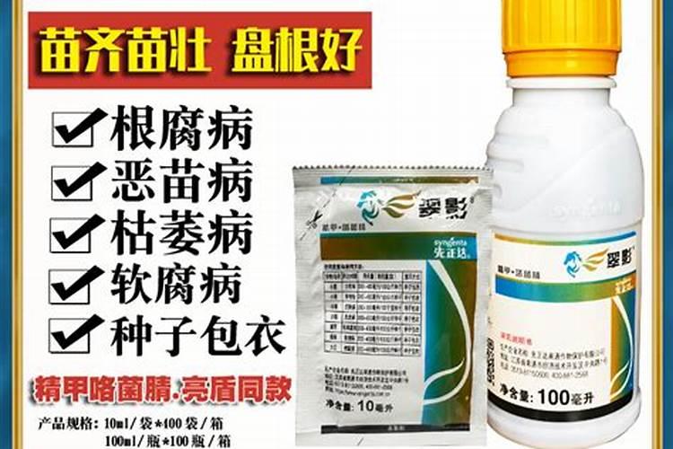 大豆根腐病用什么药