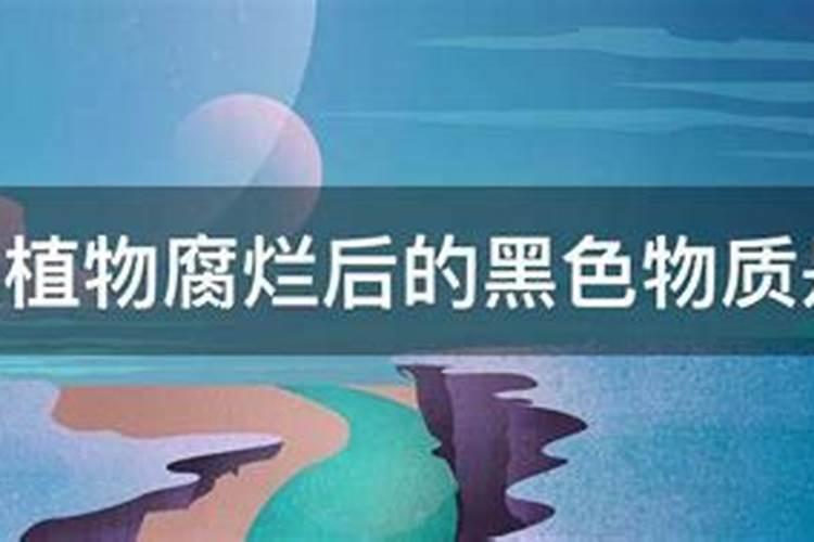 腐殖酸的性质与用途