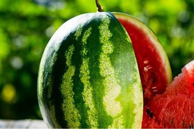 西瓜需要什么肥料最好