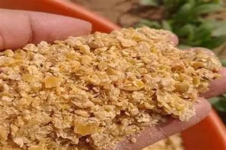 母牛喂豆粕好还是豆饼好？