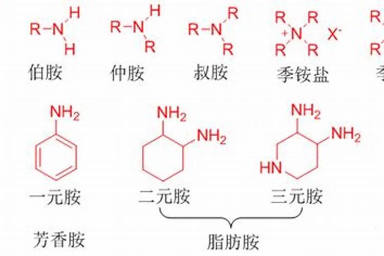 氨,铵和胺有什么区别？