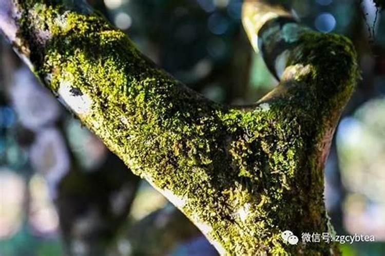 腹式呼吸神奇效果